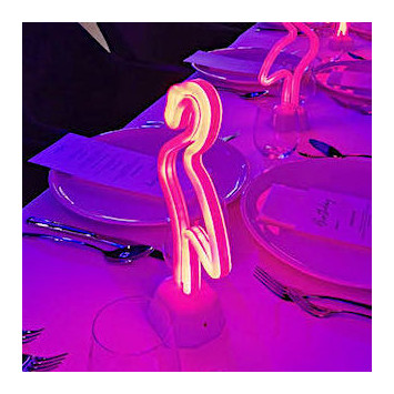 Neon Flamingo