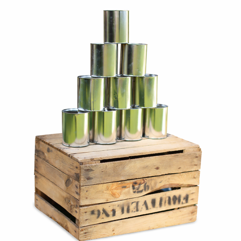 Game - can toss