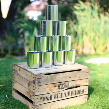 Game - can toss