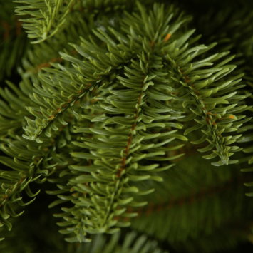 Christmas tree - 3D luxury fir tree 180cm