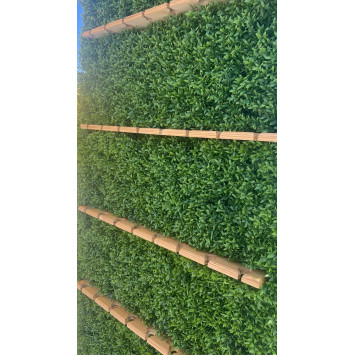 Zelená stena na welcome drink